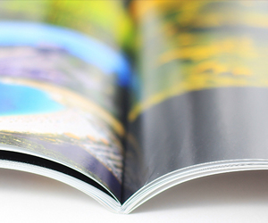 Digital/Offset Printing